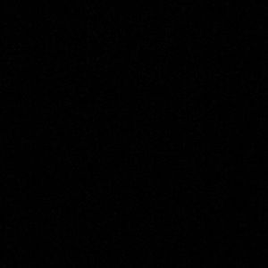 Meet your Posher, Daniella